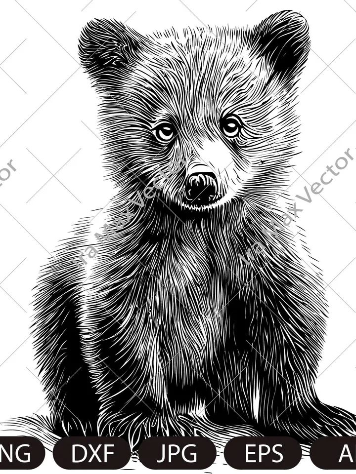 Baby bear svg,Bear cub face svg,Little bear,Grizzly Bear,Bear detailed, Safari African Animals,Bear Cub,Nursery Wall Art, Kids Printable