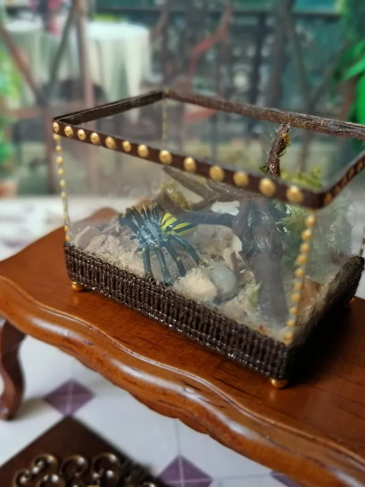 Terrarium. Spider cage. Puppet miniature.1:12 scale.