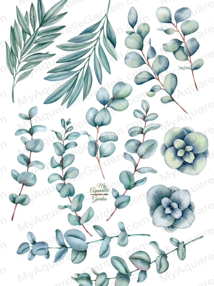 Eucalyptus. Watercolor nad-painted clipart. Exotic tropical leaves. Stickers, cards, wishes, wall art. Instant download. Printable PNG files