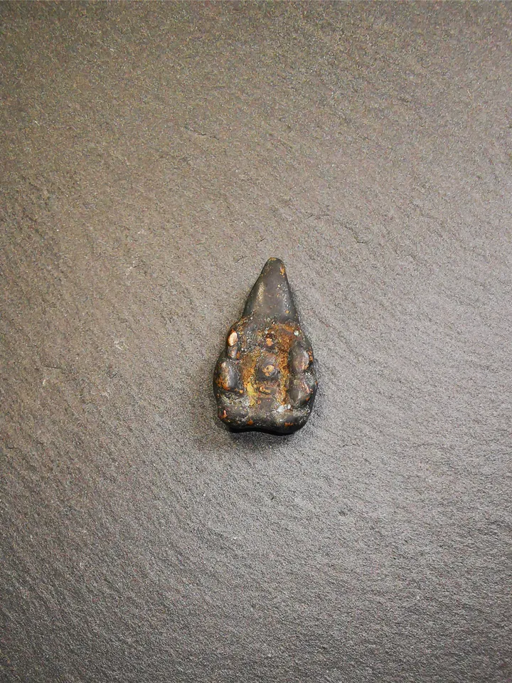 Gandhanra Old Tibetan Amulet,Scorpion Guru of Padmasambhava, Buddhist Scorpion Pendant, Made of Copper,0.95" × 0.55"