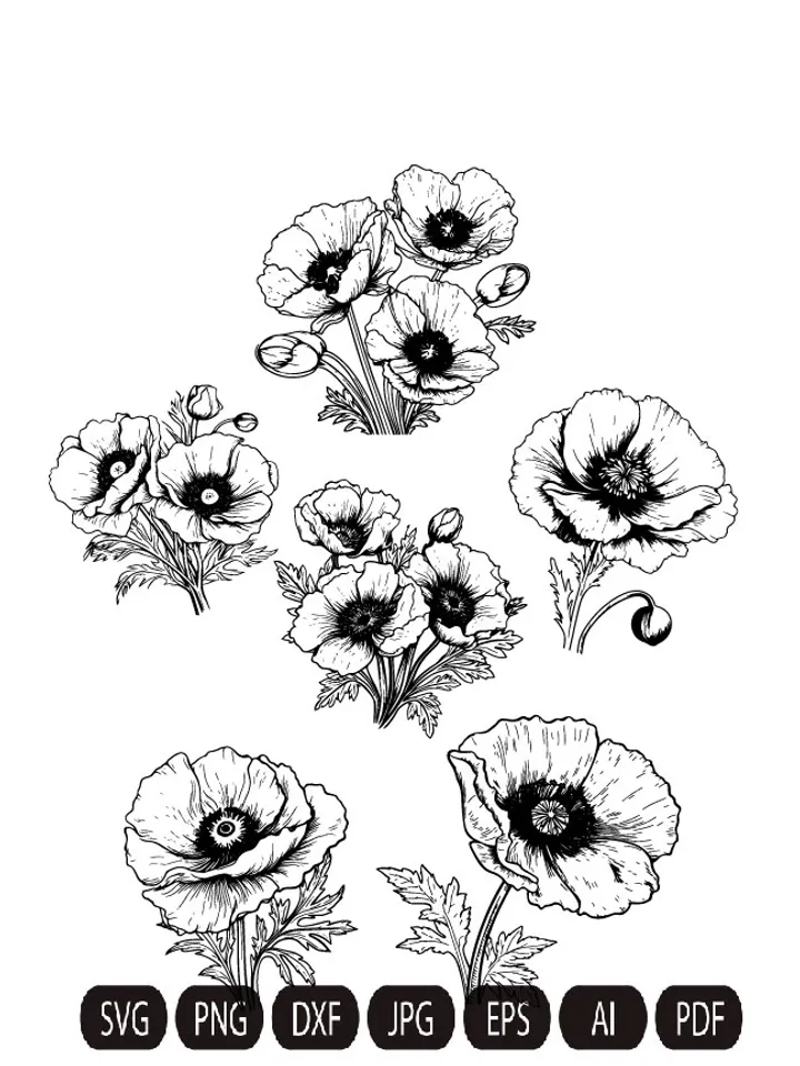Poppy Flowers Clipart, Poppies SVG, Red Poppies PNG, California Poppy SVG. Poppy Clipart, Red Poppies Clipart, Poppies,