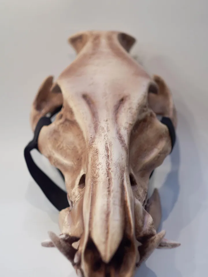 Boar Skull Mask | animal skull mask | Viking skull Mask | resin skull mask | cosplay face mask | halloween scary mask | creepy mask