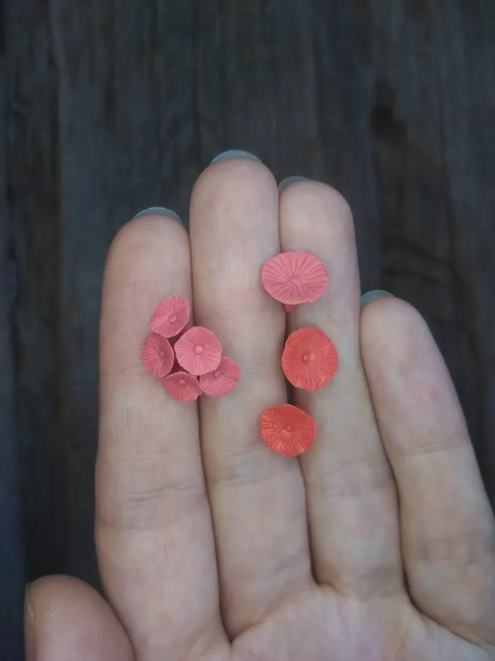 Set of miniature corals shades of red, tiny corals for diorama, dollhouse or resin art