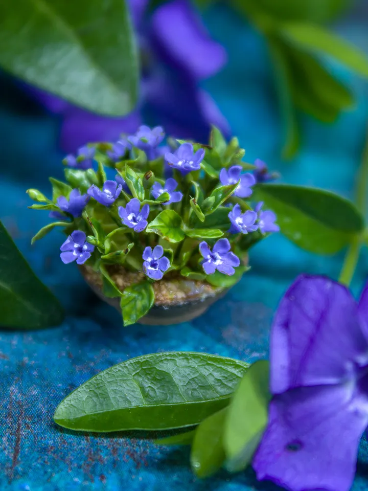 TUTORIAL Miniature periwinkle with air dry clay