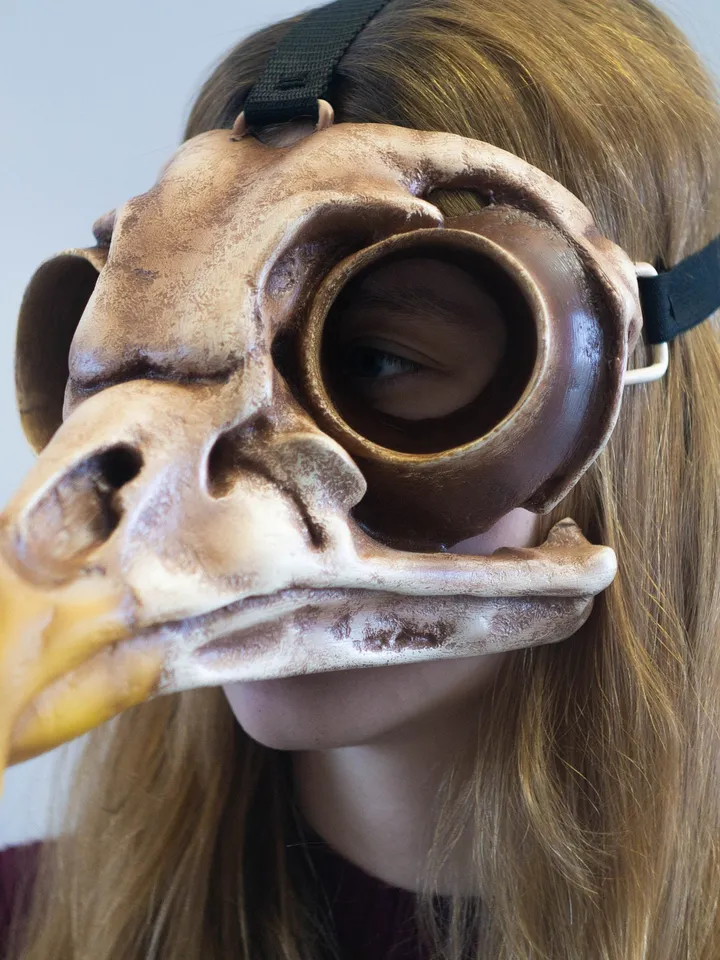 Bird Skull Mask, Owl Skull, Viking skull Mask, bird mask, plague doctor mask, steampunk bird mask, bird beak mask, Voodoo Mask, Raven Mask