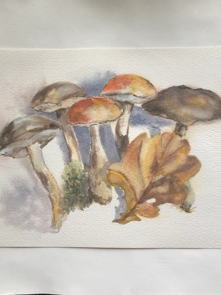 Mushrooms original watercolour painting hand painted modern painting wall art original artwork 8x11 inch