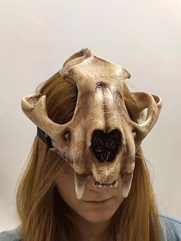 Lynx Skull Crown | Cat Skull Helmet | Realistic Animal Skull on head | tribal headpiece | Headpiece skull | ritual mask | pagan