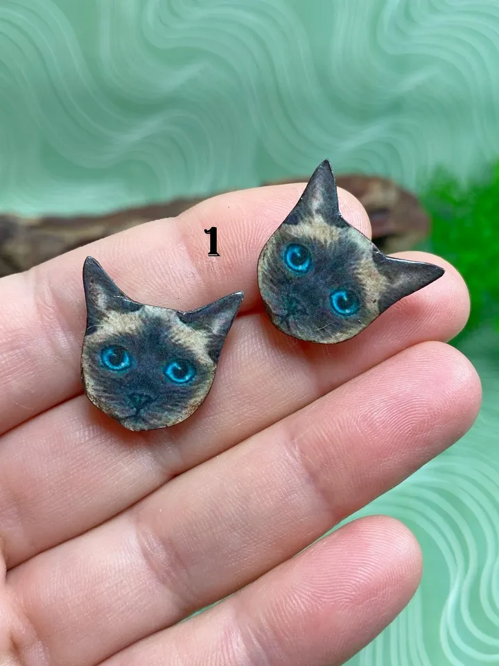 Interesting handmade earrings. For cat lovers). Author's design. Handmade.