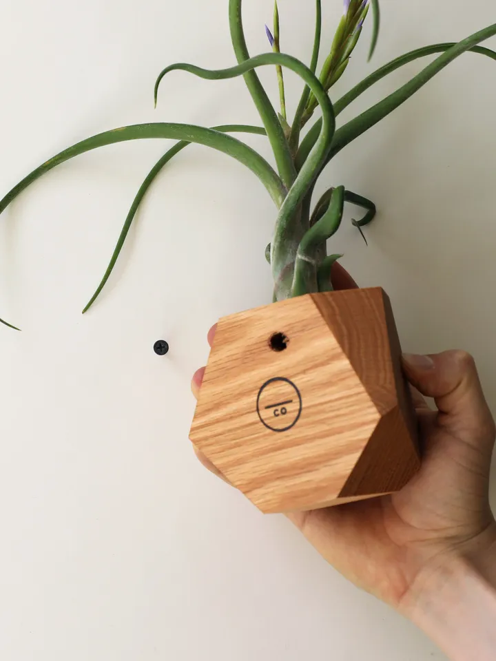 Set of 4 Red Oak Geometric Air Plant Holder