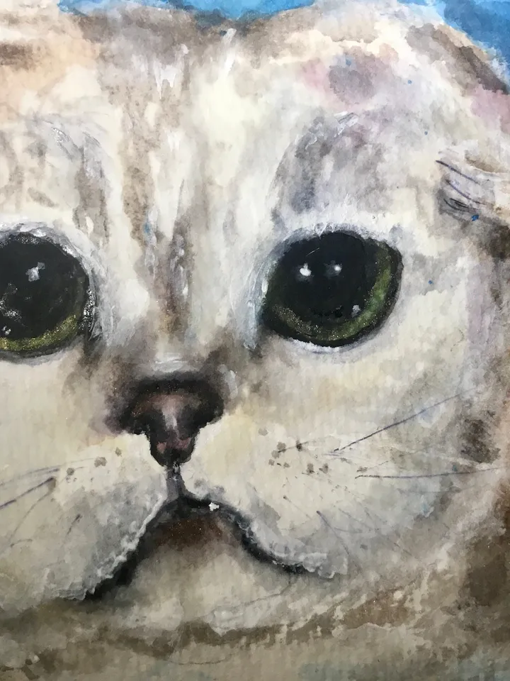 Scottish fold cat original watercolour painting,animals painting,gift for cat lovers,unique gift,white cat painting.