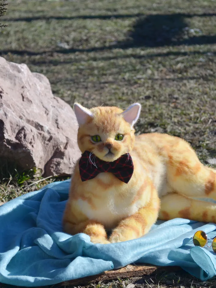 March cat.