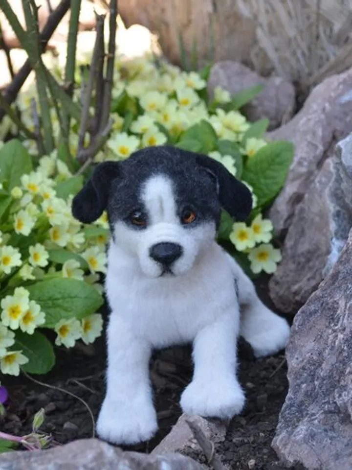 Stuffed toy puppy.