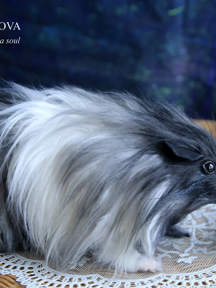 Guinea pig Tuffy .Plush animals. Ooak toy. Guinea pig stuffed toy
