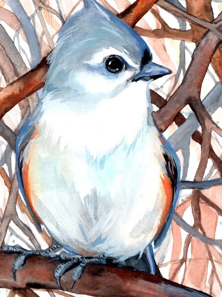 Titmouse Bird Watercolour, bird painting, wall decor, birds lover gift, 8x11 in handmade art by Anne Gorywine