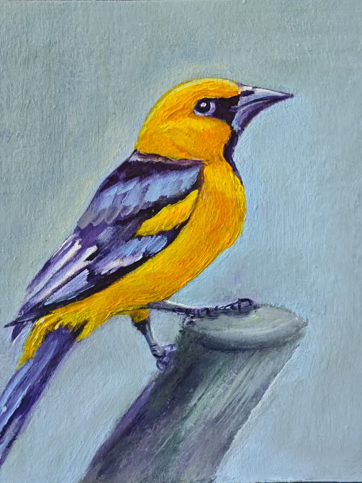 Oriole Bird Original Painting Bird Original Art Animal Modern Artwork Yellow Bird Wall Art Bright Yellow Bird Painting 8x8 inches by OlgaSokolovaArt