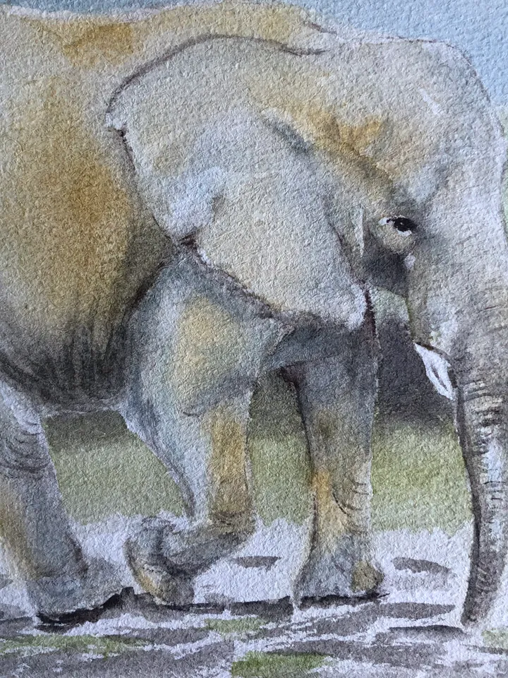 Elephant animal painting living room wall art original watercolour hand painted modern painting