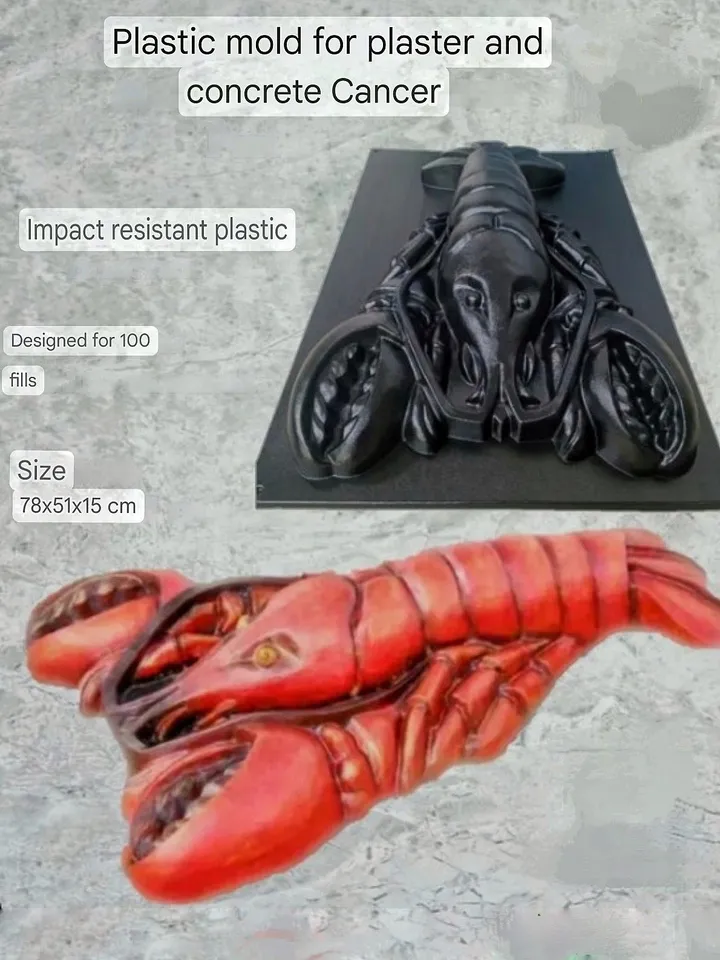 Plastic Cancer Molds for pouring concrete and gypsum DIY 30,70"20,1"5,9"in