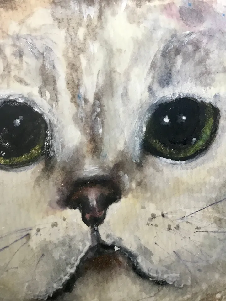 Scottish fold cat original watercolour painting,animals painting,gift for cat lovers,unique gift,white cat painting.
