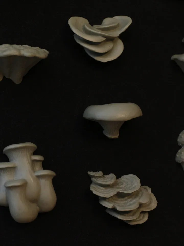 Set of 13 Magnets of Mushrooms (Unpainted)