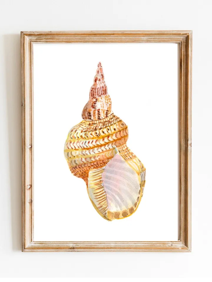 Shell art  Sea Shell Art Shell Decor Beach Cottage Art Sea Shells Painting Marine Aqua Beach House Art Beach Art Marine Aqua