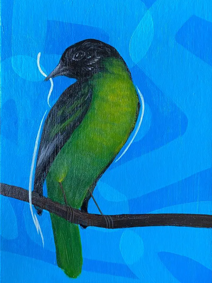 Birds