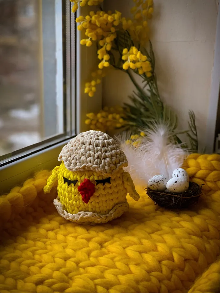 Basket chicken egg Easter, crochet interior gift, bedroom livingroom storage, table decor, eco friendly