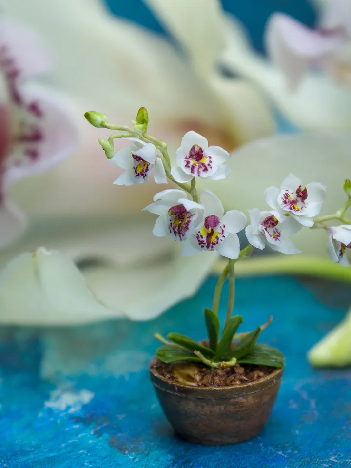 TUTORIAL Miniature orchid with air dry clay