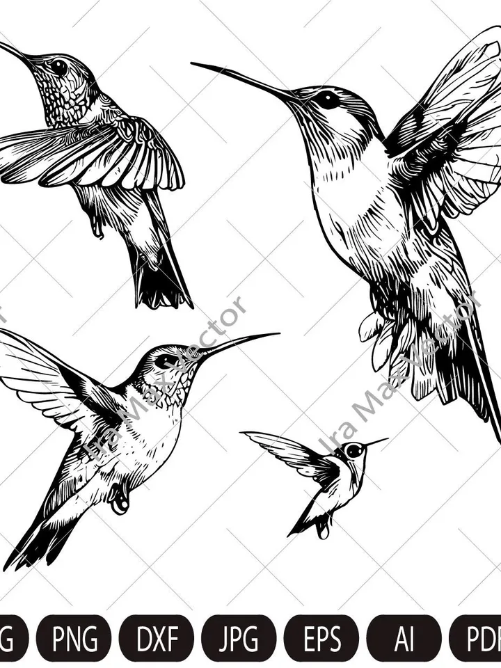 Hummingbird Svg, Hummingbird Clipart, Hummingbird set, Hummingbird Head, Hummingbird Cut Files , Bird Silhouette, little bird,flower bird