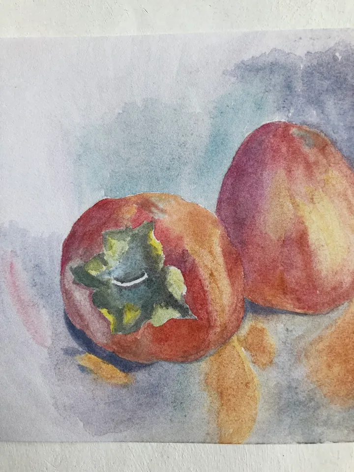 Persimmon original watercolour painting wall art fruit modern painting hand painted paper size 7x9 inches