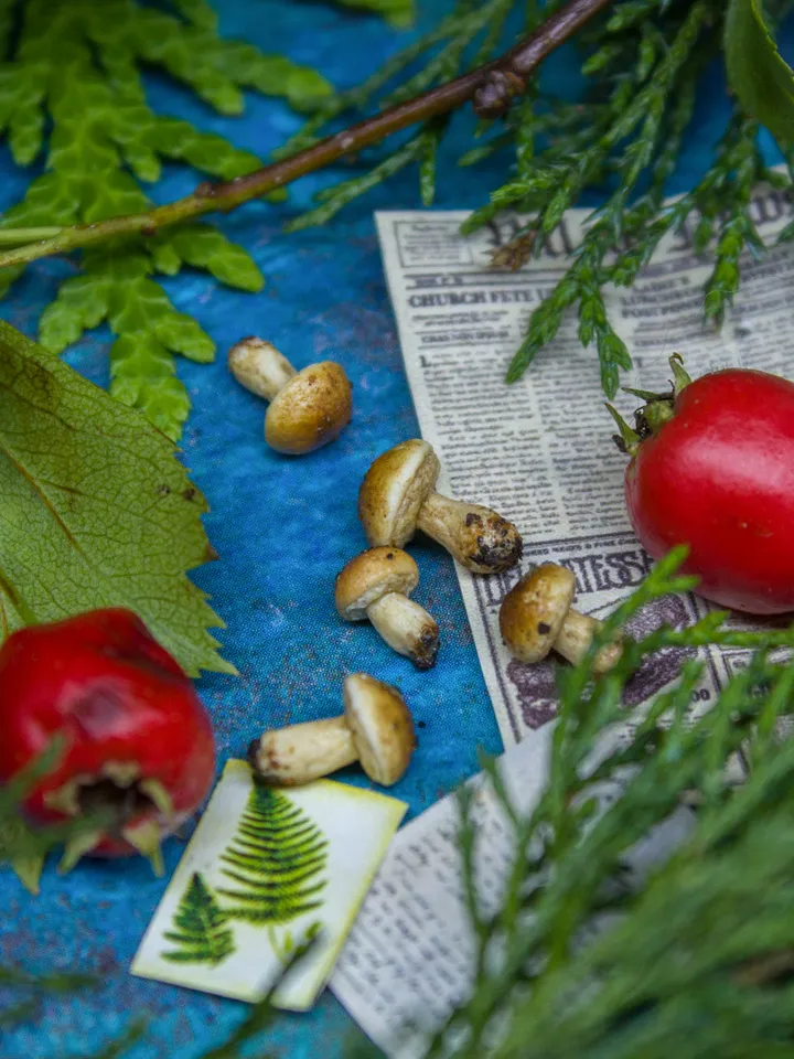 TUTORIAL Miniature porcini mushroom with polymer clay | PDF + video