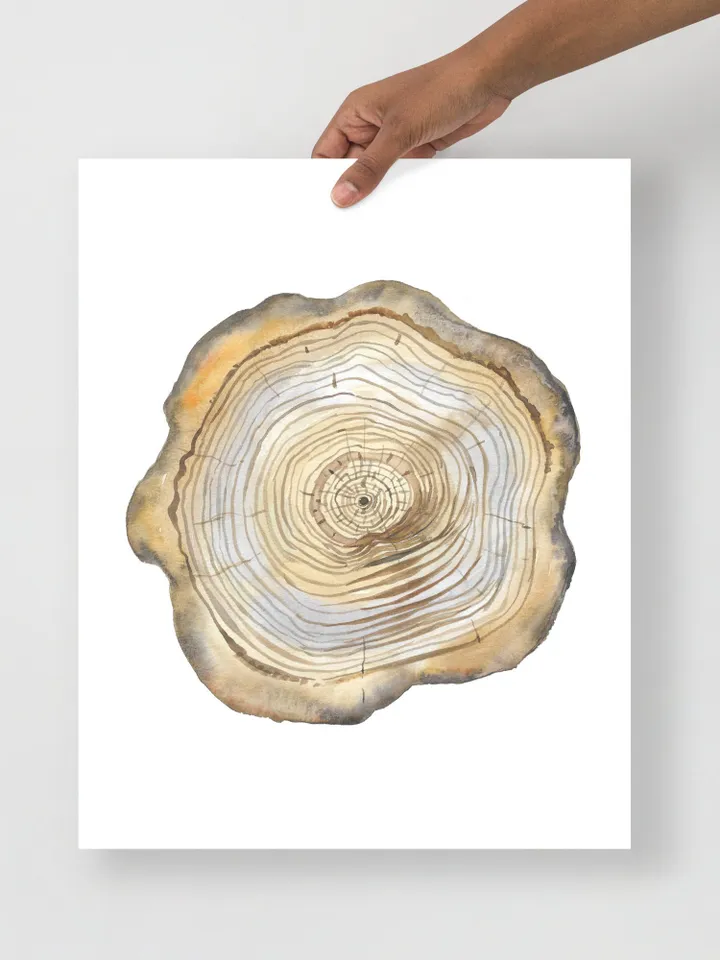 Tree Stump Print Tree Ring Watercolor Wall Art Wood Cut Art Forest Decor Tree Ring Painting Scandinavian Print Minimalist Poster Watercolor