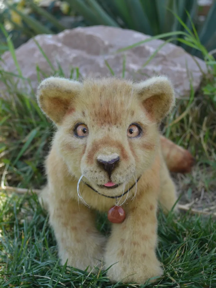 Lion cub