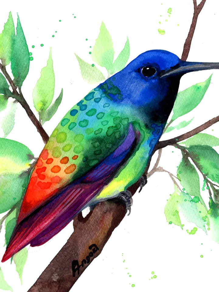 Colorful Hummingbird original watercolor, bird on the branch painting, colibri portrait room decor, 8x11 in wall art for bird lovers handmade by Anne Gorywine