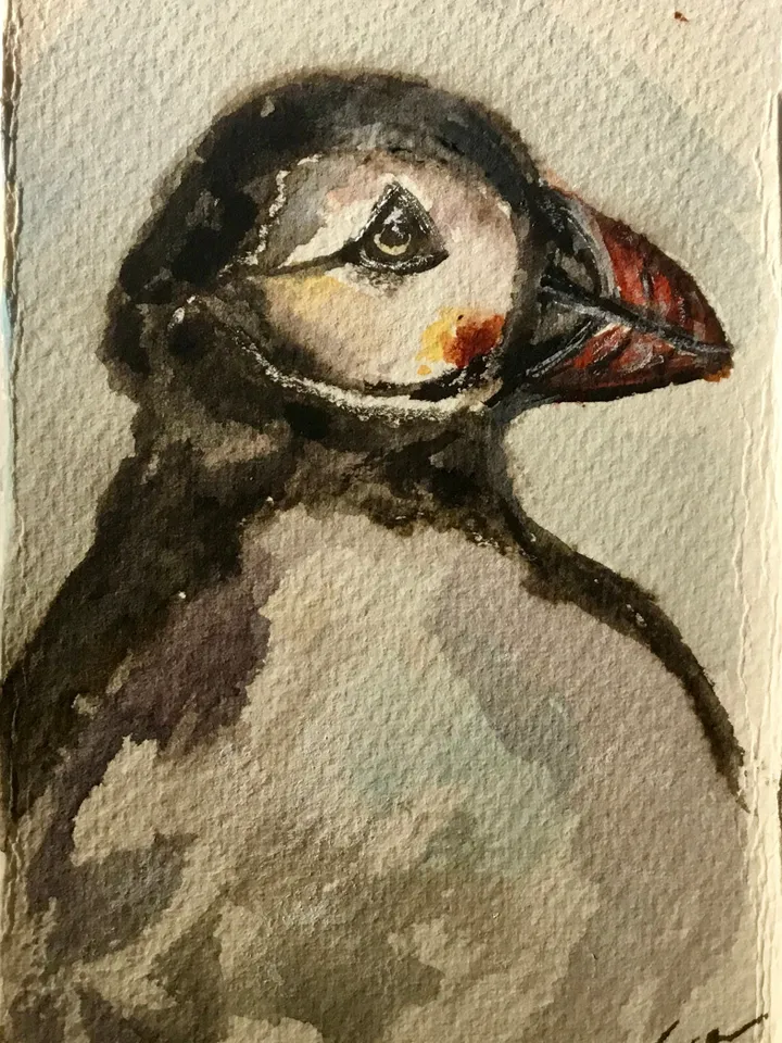 Puffins greeting cards,handpainted watercolour cards,original watercolour paintings,unique handmade gifts,small birds watercolor paintings .