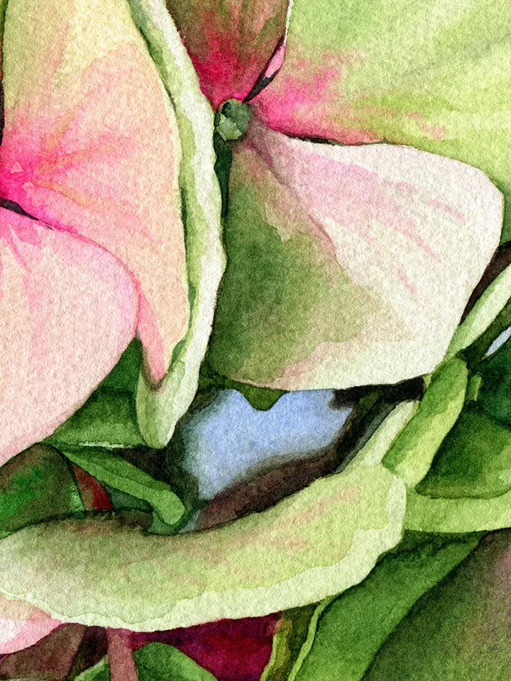Watercolor picture with hortense, Watercolor digital file, Art print from the original painting, Poster with flowers