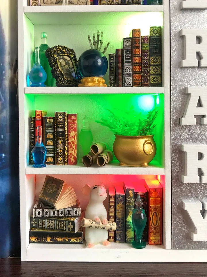 Book nook, Book nook money box, book nook insert, book nook miniatures, bookshelf insert, Dark Academy library, best friend christmas gift