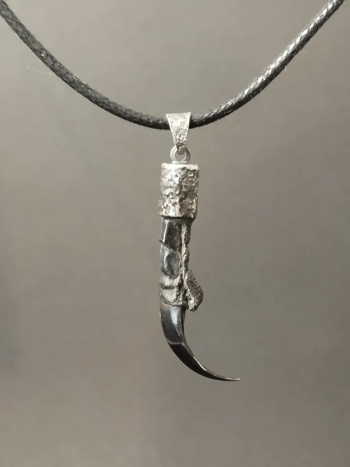 Raven's claw in silver frame