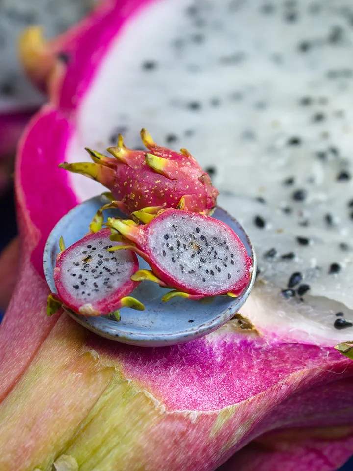 TUTORIAL Miniature pitaya or dragon fruit with polymer clay