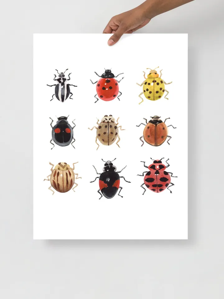 Ladybug Art Print, Watercolor Painting, Bug Insect Print, Insect Lover Gift, Ladybird Painting, Lady Bug, Realistic Art, Gift For Him