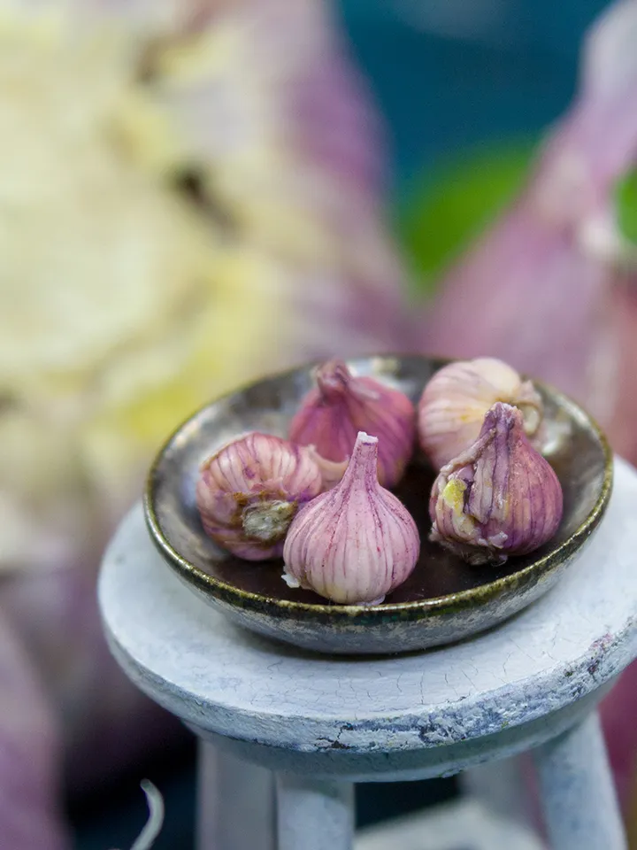 TUTORIAL Miniature garlic with polymer clay