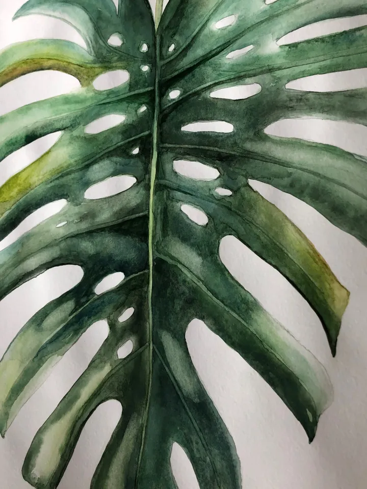 Original Watercolor painting monstera flowers wall art 11.6 x 16.4'' inches