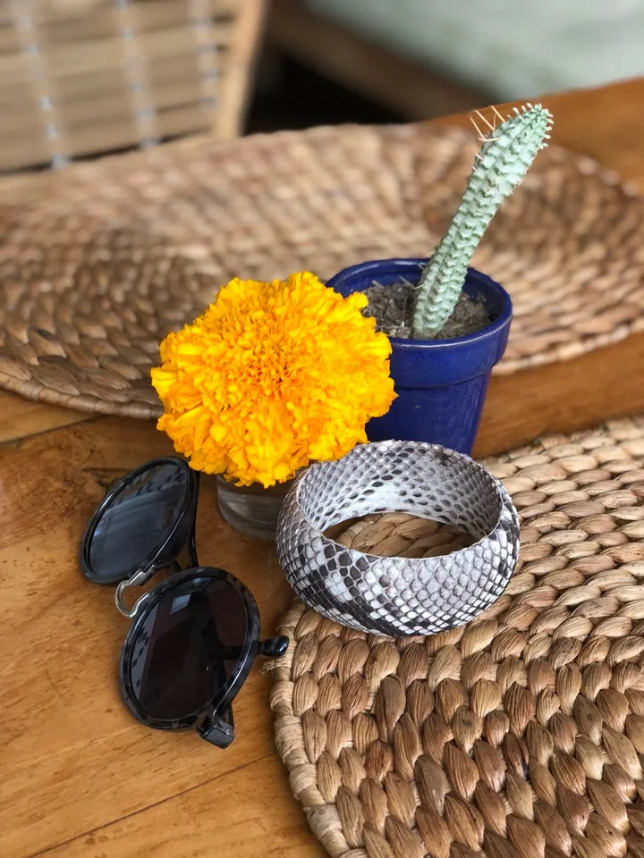 FAST SHIPPING Genuine python skin round bracelet, pythonskin leather bracelet, bangle gray leather bracelet, wide bracelet python