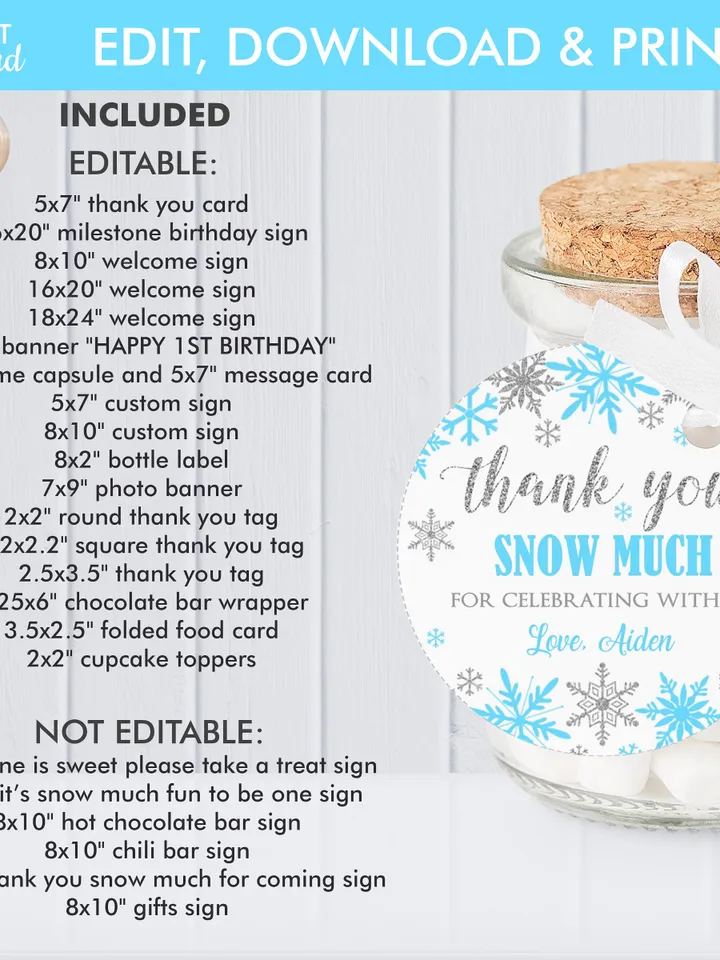 Winter Onederland Birthday Boy Decorations, Winter Onederland Birthday Party Package Bundle, Blue Silver Snowflakes  Editable Template