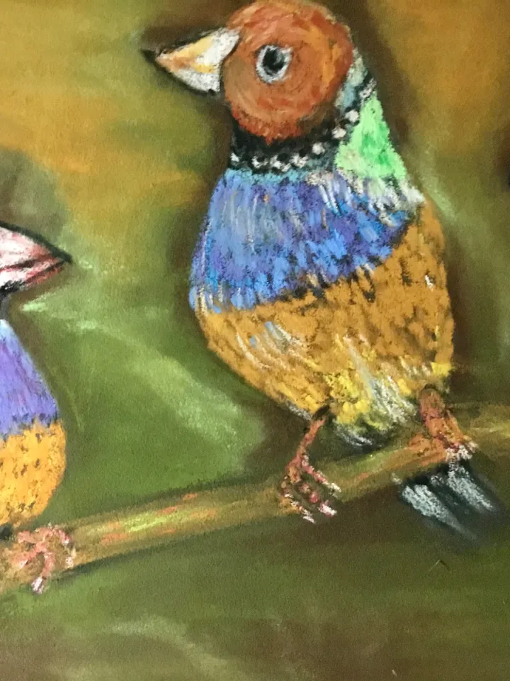 Funny birds painting ,3 friends, original pastel painting,bright colours.