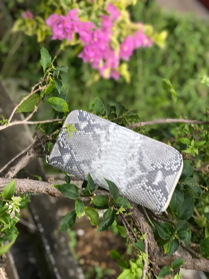 Genuine Python Skin Wallet | Money Wallet Genuine Leather Big Unisex | Python Leather Wallet Organizer Gray Woman | Money Documents Holder