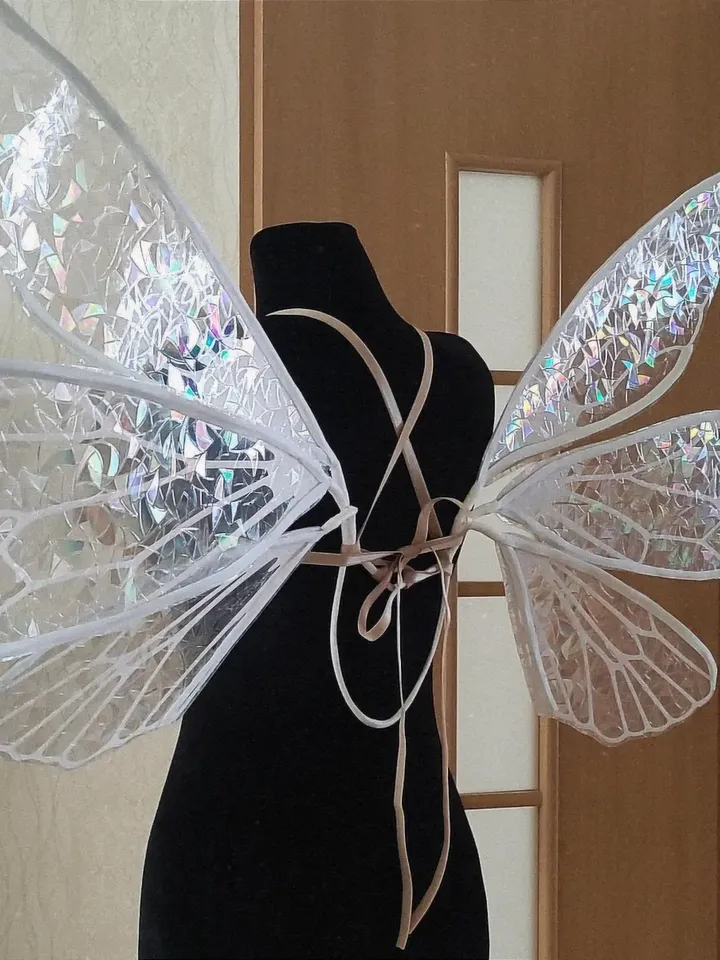 Rainbow holographic fairy wings