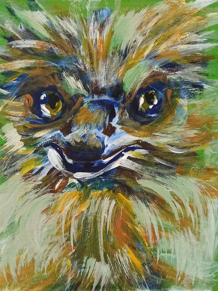 Cunning Ostrich original acrylic painting