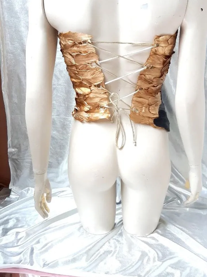 Breastplate Armor Strawberry Costumes-Cosplay-Breastplate-FantasyStrawberry Wolf Armor Bib Costumes - Cosplay - Corset with Feathers