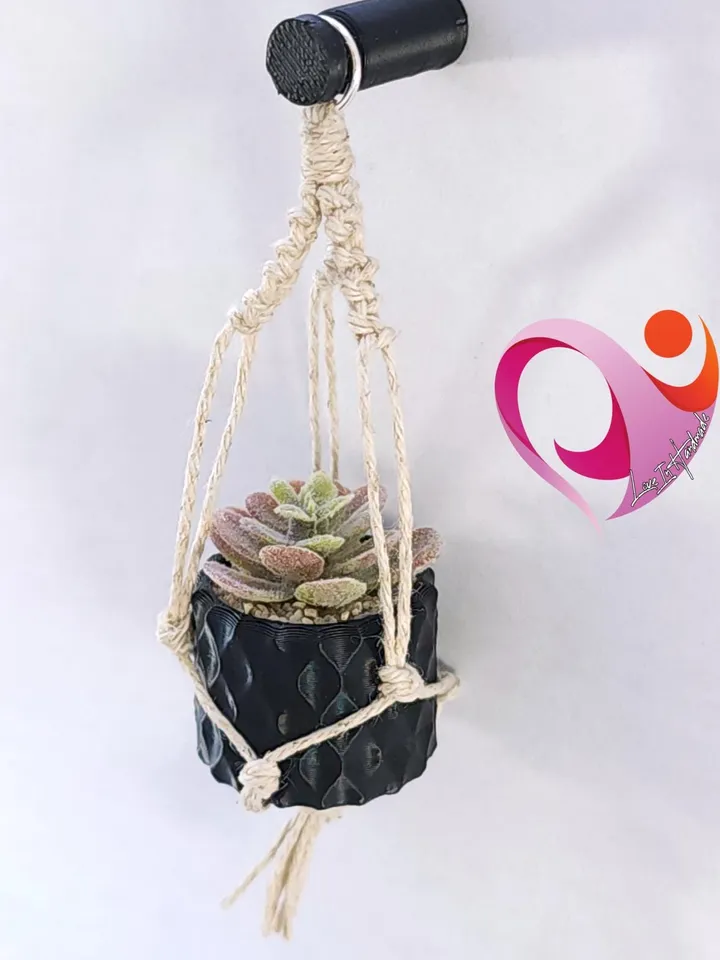 Cute Succulent Magnet Boho Plant Decor for Fridge Locker Perfect Gift for Plant Lovers