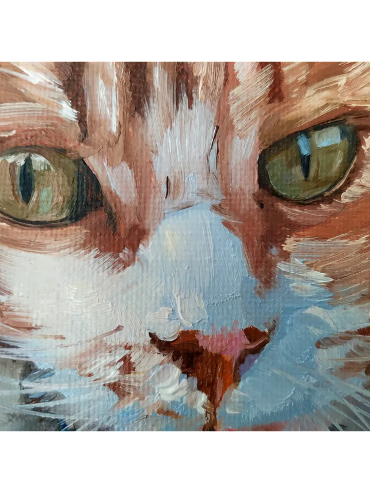 Cat painting Animal Original Art Brown Cat Artwork fine art square canvas art oil painting by Natalia Plotnikova